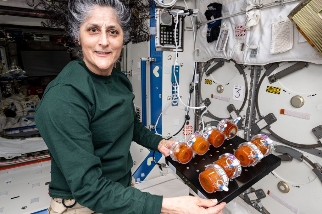 NASA Continues BioNutrients Space-Fermented Food Research